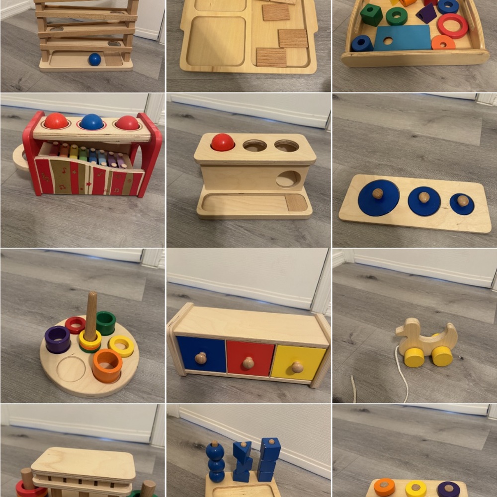 Monti Wooden Montessori toy set of 12 - shape & Color Natural Multi-color